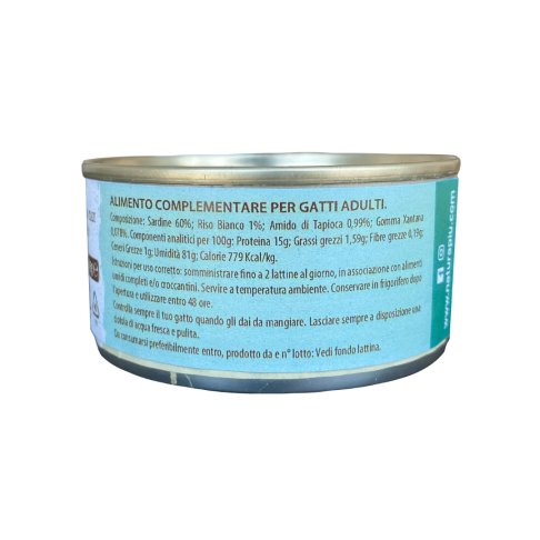 copy of 